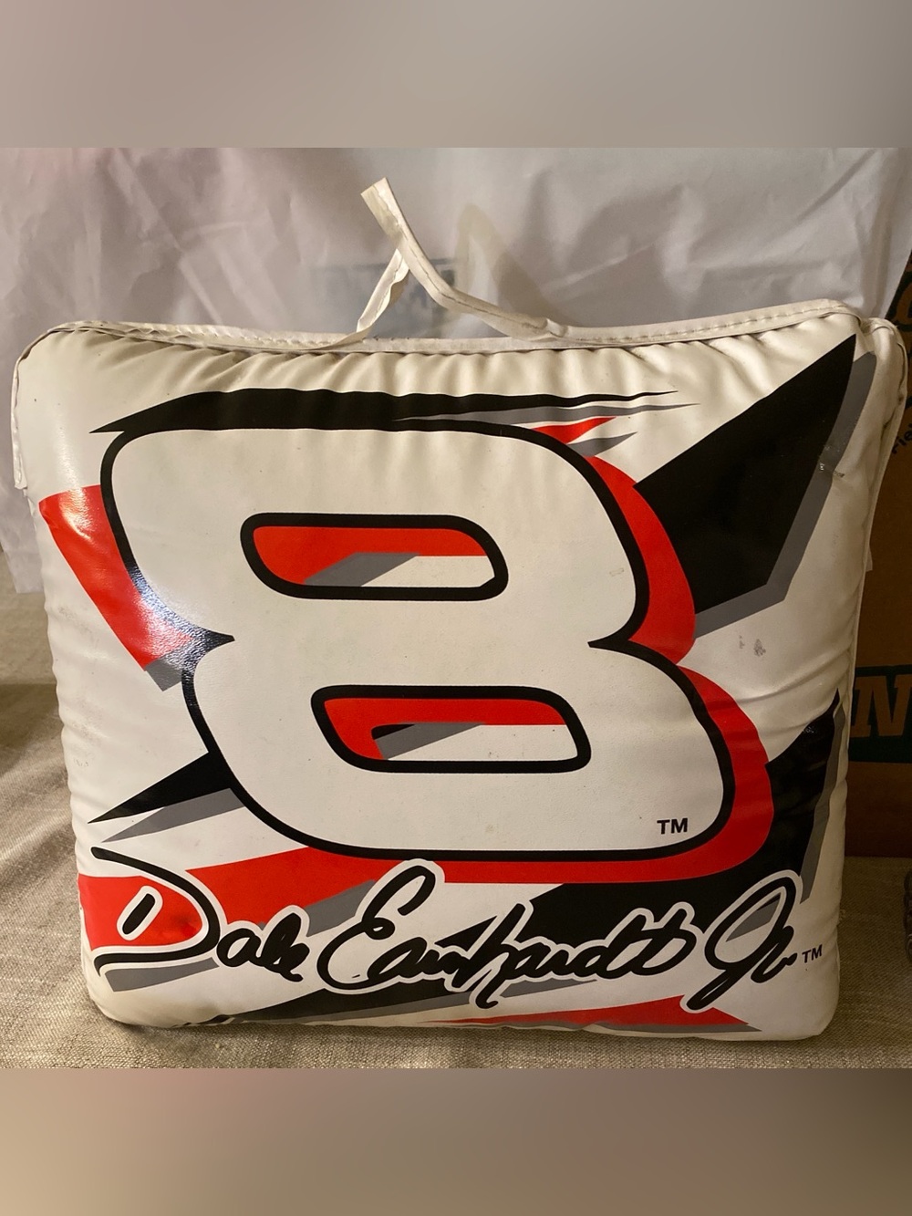 NASCAR  Dale Earnhardt Jr. Vinyl Pillow